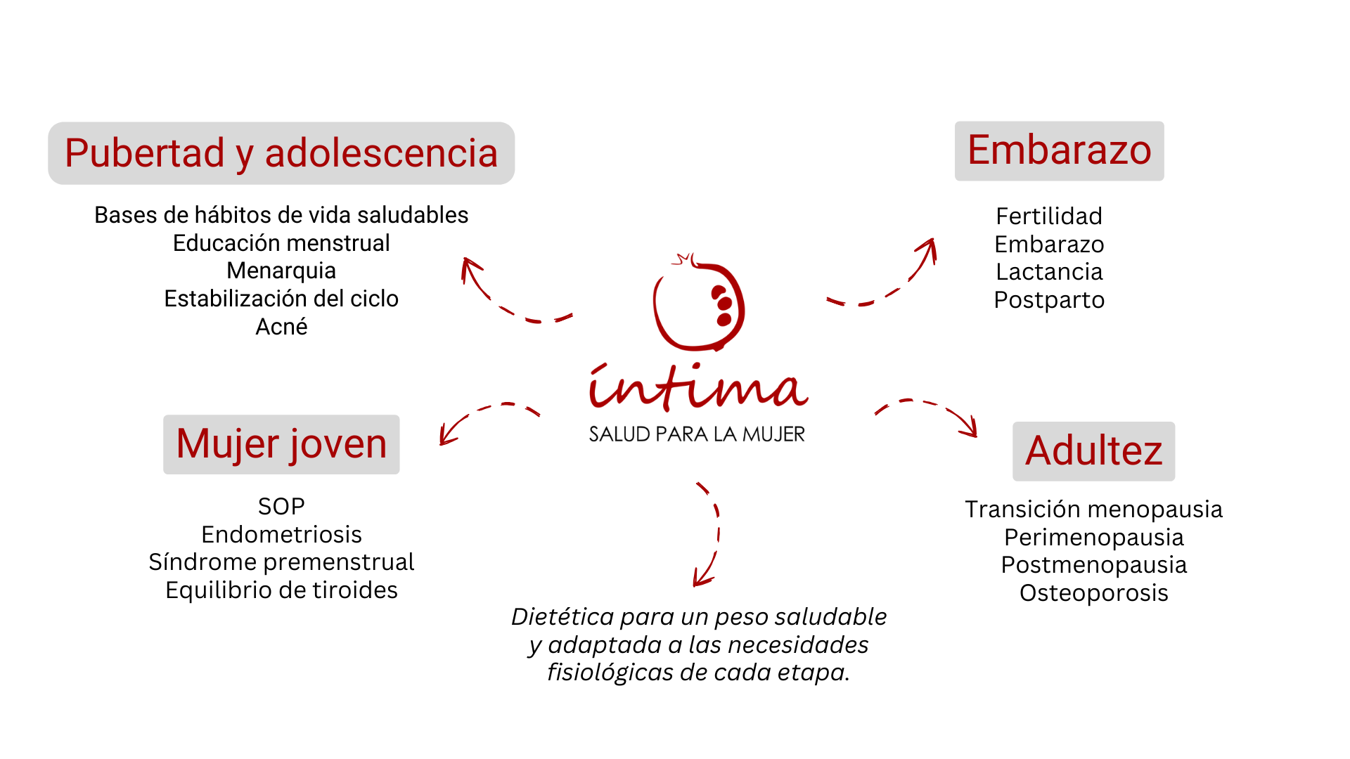 Gráfico etapas